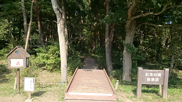 森の中へ木道が続きます。入口右手に看板「記念の森散策路」があります。